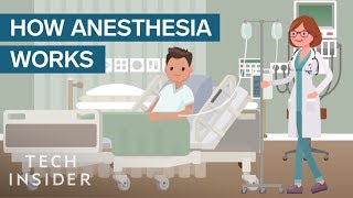 How Anesthesia Affects Your Brain And Body [upl. by Quill]