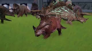 Jurassic World Evolution 2 Gameplay Big Ceratopsidae Fight [upl. by Belinda]