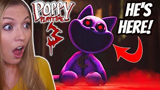 Poppy Playtime Chapter 3 IS INSANE [upl. by Naerda]