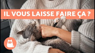 Si votre CHAT TOLÈRE cela vous avez GAGNÉ son CŒUR 🐱❤️ 7 signes que votre CHAT vous AIME [upl. by Ettenyar361]