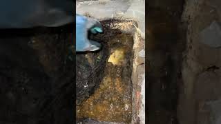 Unclogging Drains with a Plumbers Helper The Ultimate Guide [upl. by Hsaniva]