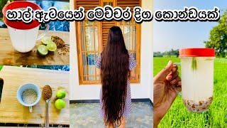 කොන්ඩේ දිගට වවන හාල් ඇට මැජික් එක Rice Water for Fast Hair Growth  Hair Care vlogs [upl. by Ingold]