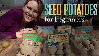 Preparing Seed Potatoes for Planting  Seed potatoes for beginners [upl. by Nikoletta279]