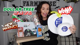 DOLLAR TREE HAIL I FOUND the MOST AMAZING DEALS [upl. by Albertson]