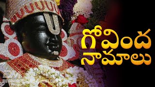 Govinda Namalu  Srinivasa Govinda Sri Venkatesa Govinda  Devotional music melodies [upl. by Raji]