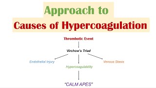 quotExcessive Clottingquot HYPERCOAGULATION  Virchow’s Triad  Causes of Venous and Arterial Thrombosis [upl. by Dnomaj]