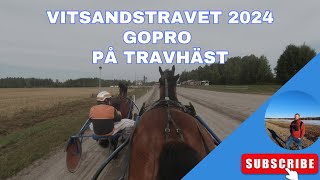 Vitsandstravet 2024 GoPro på travhäst [upl. by Alyworth]