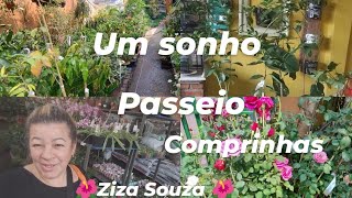 Tour pela Floricultura  Comprando Plantas e Muda [upl. by Marsh]