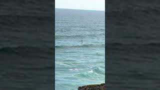 Perranporth6th August Beautiful watersport moment 🙏☀️🙏 [upl. by Samid71]