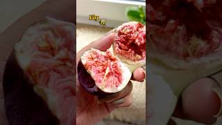 Fresh Fig  সম্পূর্ণ অজানা একটি ফল  anjeerbenefits figs shorts [upl. by Aisorbma6]