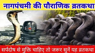 नागपंचमी 2024  Nag Panchami ki kahani  Nag Panchami ki katha  nagpanchmi2024 [upl. by Beuthel]