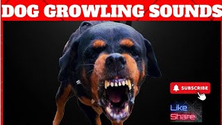 Dog Growling and Barking Sounds Compilation Angry Rottweiler [upl. by Oilenroc]