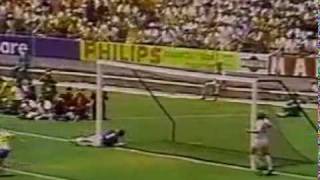 Greatest Ever Goalkeeper Save  Gordon Banks Saves from Pele [upl. by Anyrb129]