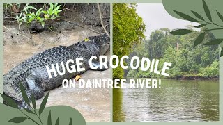 Saltwater Crocodile  Face to Face with a monster on the River [upl. by Peadar882]