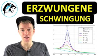 Erzwungene Schwingungen mit Resonanz  Physik Tutorial [upl. by Berkie18]