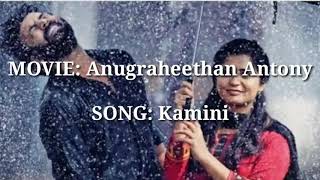 Kamini Song Lyrics  Mulle Mulle  Anugraheethan Antony [upl. by Justicz]