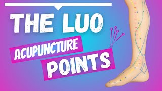 The LUO Connecting Acupuncture Points [upl. by Lledroc]