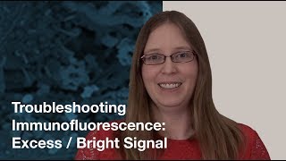 Troubleshooting Immunofluorescence Excess Bright Signal  CST Tech Tips [upl. by Bonneau]