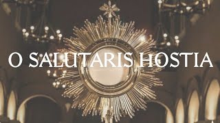 O Salutaris Hostia  Catholic Latin Hymn [upl. by Sitra53]