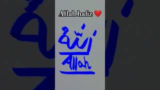 Allah hafiz ❤️ youtubeshorts allahuakbarallahuakbarallahuakbar art allahhuakbar trending [upl. by Attennod]