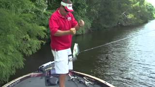 Crappie Fishing at Long Lake Resort [upl. by Nylauqcaj]