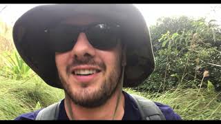 Best Secret Hike In Kauai Okolehao Trail to Hihimanu Trail [upl. by Einnol]