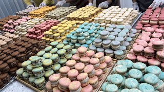 Amazing macaron mass production Top 5 Delicious Korean Macarons Collection  Korean street food [upl. by Enelear]