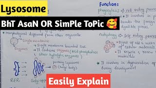 Lysosome Structure And Functions  Autophagy  Class 11 Biology [upl. by Lenej]