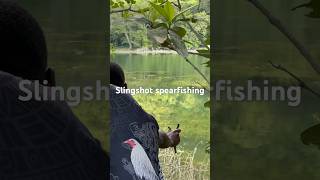 Slingshot spearfishing in Jamaica fish catchandcook [upl. by Gerianna]