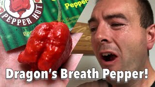 Dragon’s Breath Pepper Challenge  Carolina Reaper Knock Off [upl. by Lihkin]