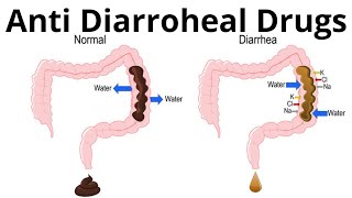 ANTI DIARROHEAL DRUGS  ORS  Treatment of diarrohea  pharmacology  Loperamide [upl. by Anigar]