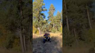 atv offroad ytshorts automobile квадроцикл лес горы enduro shorts stels cfmoto brp [upl. by Centonze702]