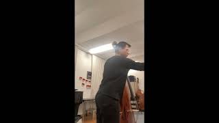 EUYO Audition Double Bass [upl. by Hpeosj]