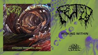 FETID  Reeking Within From Steeping Corporeal Mess LP 2019 [upl. by Zobkiw846]