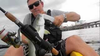 Kingfish Kayak Fishing Kurnell Australia [upl. by Tammi]