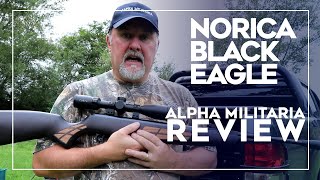 Norica Black Eagle Spring Air Rifle Review amp Test  quotA rival to HW and BSA springersquot [upl. by Laughry741]