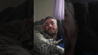 What does your cats sleeping position say about your relationship catvideos cat catlover [upl. by Sirtimed]