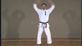 10 KATA Shotokan Slow Motion [upl. by Nhguavad]