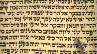 Passover Pesach Torah reading Shabbat Chol Hamoed Rabbi Weisblum קריאת התורה שבת פסח [upl. by Tita]