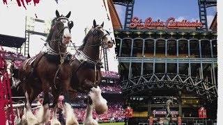 Today in St Louis is live from Busch Stadium for the Cardinals home opener [upl. by Jelle]