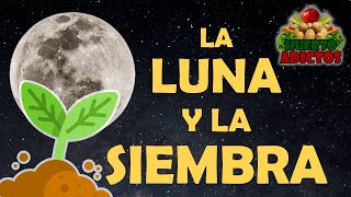 NO SIEMBRES SIN SABER ESTO 🌙 La Luna y la Agricultura Consejos de Siembra para Huerto y Jardín 🌱 [upl. by Lucretia495]