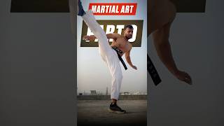 Part 9 Stamina Drills😰 stamina martialartstraining training youtubeshorts martialartsforlife [upl. by Navad]