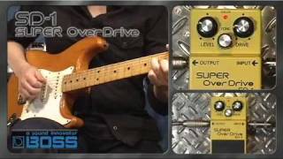 BOSS SD1 SUPER OverDrive BOSS Sound Check [upl. by Lawrence237]