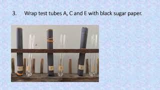 EXPERIMENT 4 REACTIONS OF ALIPHATIC AND AROMATIC HYDROCARBONS [upl. by Diandre358]