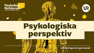 Psykologiska perspektiv förklarade  PSYKOLOGI  Gymnasienivå [upl. by Tallia242]