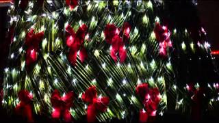 Christmas In Seychelles 2013 [upl. by Anircam378]