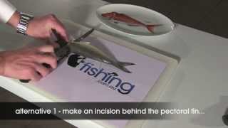 How To Fillet Fish Australian Herring [upl. by Almeria]