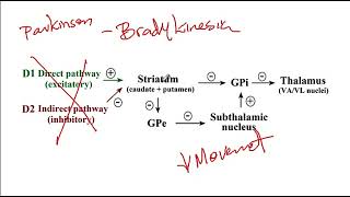 USMLE ACE Video 203 Basal Ganglia Anatomy and Direct vs Indirect Pathways in Motor Control [upl. by Doll]