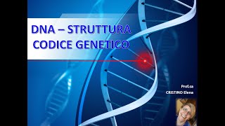 STRUTTURA DNA e CODICE GENETICO [upl. by Arakihc]