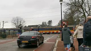 Spoorwegovergang Den Dolder  Dutch railroad Crossing [upl. by Amati447]